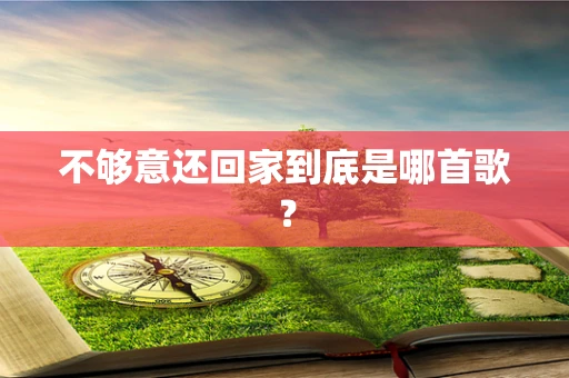 不够意还回家到底是哪首歌？