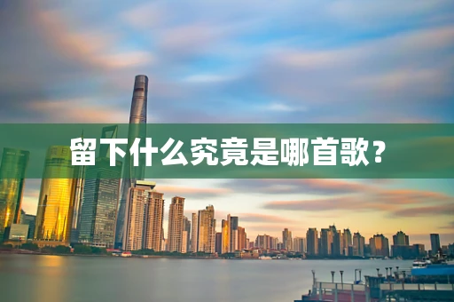 留下什么究竟是哪首歌？