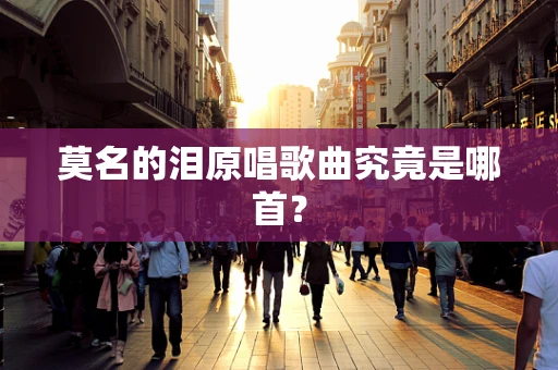 莫名的泪原唱歌曲究竟是哪首？