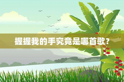 握握我的手究竟是哪首歌？