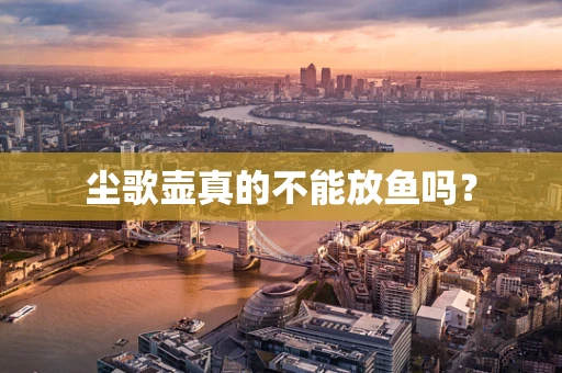 尘歌壶真的不能放鱼吗？