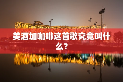 美酒加咖啡这首歌究竟叫什么？