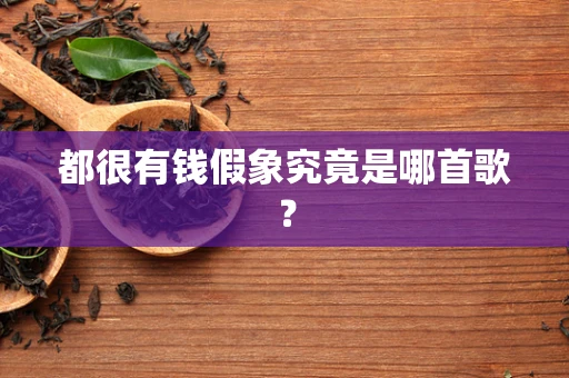 都很有钱假象究竟是哪首歌？