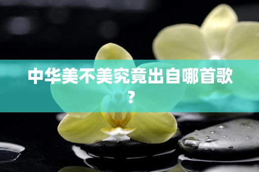 中华美不美究竟出自哪首歌？
