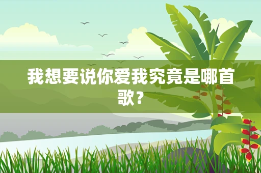 我想要说你爱我究竟是哪首歌？