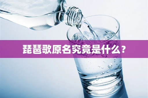 琵琶歌原名究竟是什么？