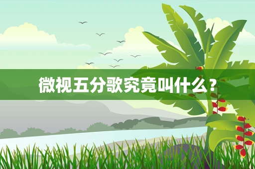 微视五分歌究竟叫什么？