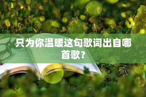 只为你温暖这句歌词出自哪首歌？