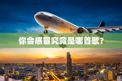 你会感冒究竟是哪首歌？