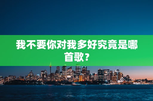 我不要你对我多好究竟是哪首歌？