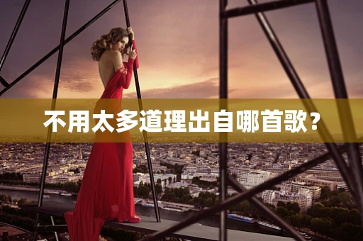 不用太多道理出自哪首歌？