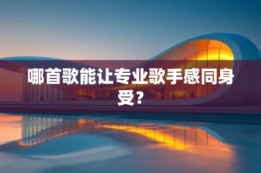 哪首歌能让专业歌手感同身受？