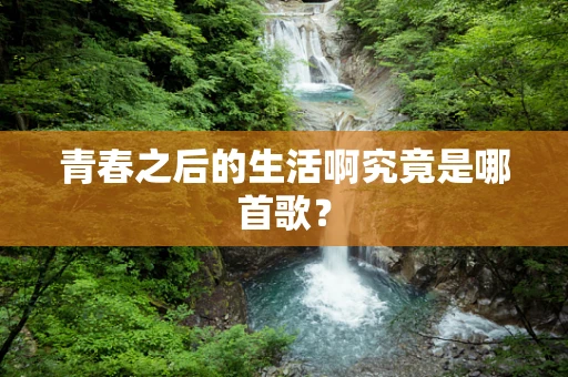 青春之后的生活啊究竟是哪首歌？