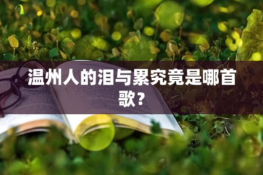 温州人的泪与累究竟是哪首歌？
