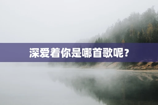深爱着你是哪首歌呢？
