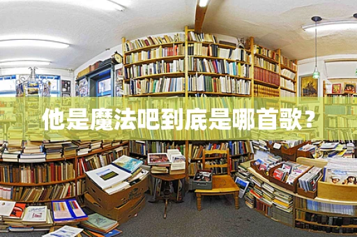 他是魔法吧到底是哪首歌？