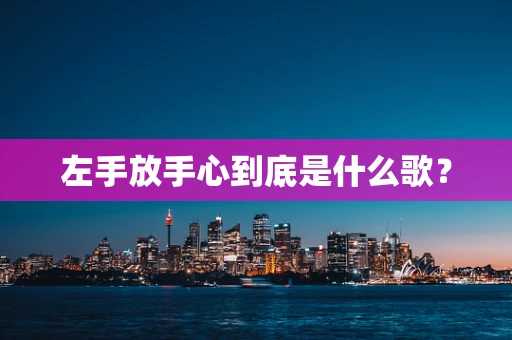 左手放手心到底是什么歌？