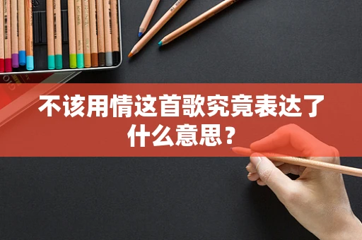 不该用情这首歌究竟表达了什么意思？