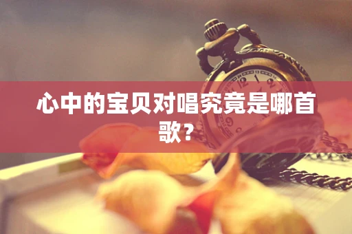 心中的宝贝对唱究竟是哪首歌？