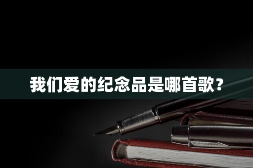 我们爱的纪念品是哪首歌？