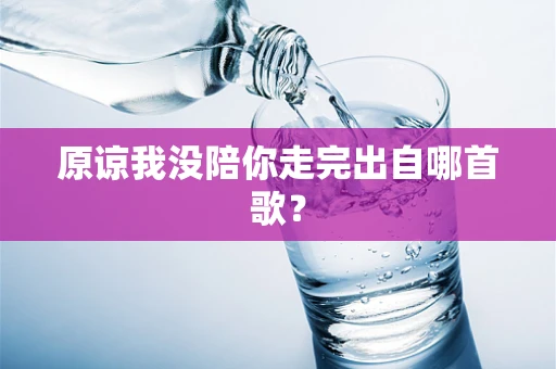 原谅我没陪你走完出自哪首歌？