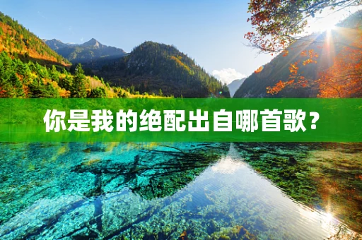 你是我的绝配出自哪首歌？