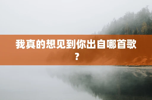 我真的想见到你出自哪首歌？