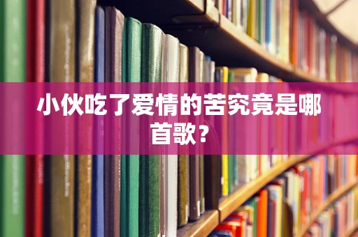 小伙吃了爱情的苦究竟是哪首歌？