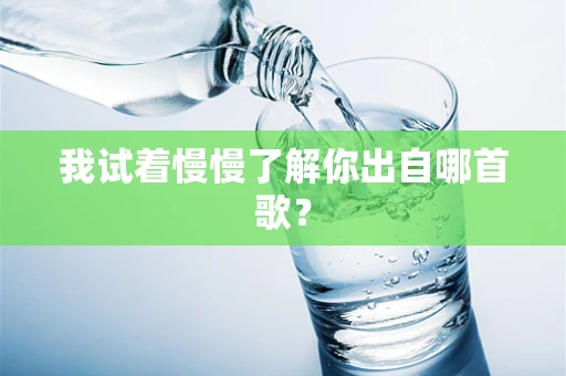 我试着慢慢了解你出自哪首歌？