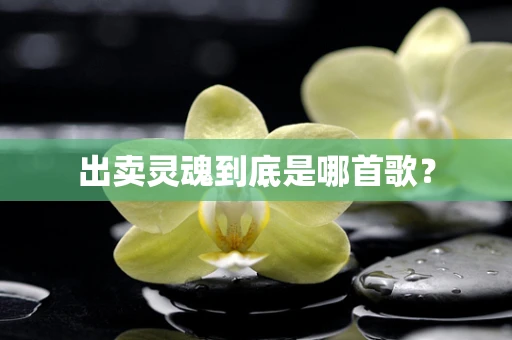 出卖灵魂到底是哪首歌？