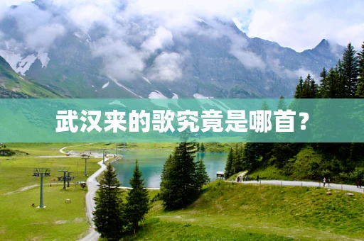 武汉来的歌究竟是哪首？