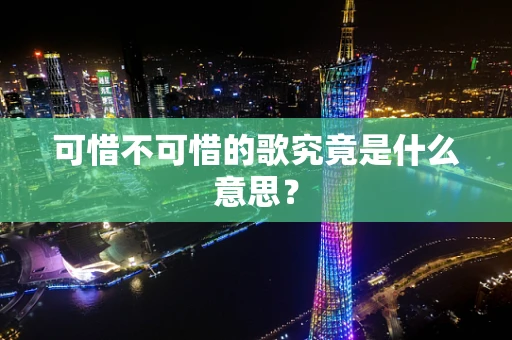 可惜不可惜的歌究竟是什么意思？
