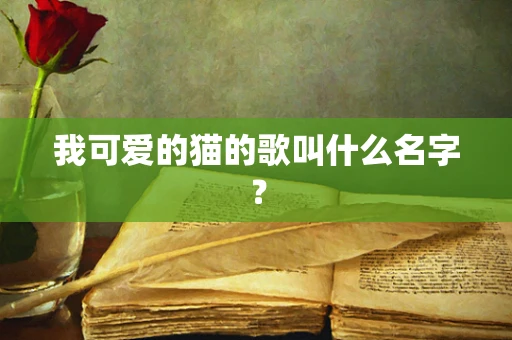 我可爱的猫的歌叫什么名字？