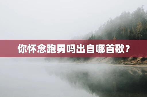 你怀念跑男吗出自哪首歌？