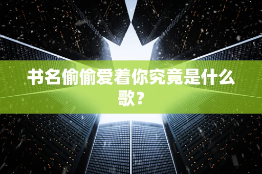 书名偷偷爱着你究竟是什么歌？