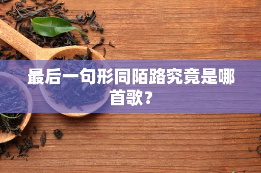 最后一句形同陌路究竟是哪首歌？
