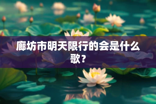廊坊市明天限行的会是什么歌？