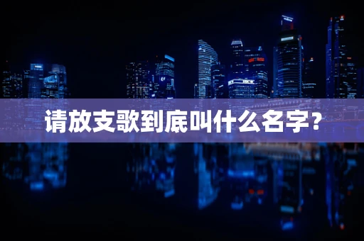 请放支歌到底叫什么名字？