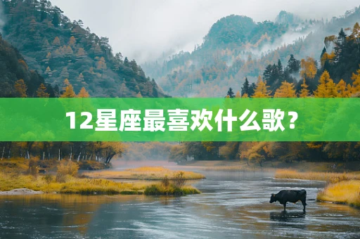 12星座最喜欢什么歌？