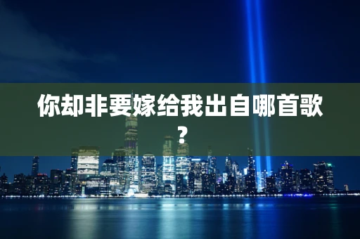 你却非要嫁给我出自哪首歌？