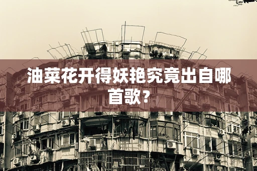 油菜花开得妖艳究竟出自哪首歌？
