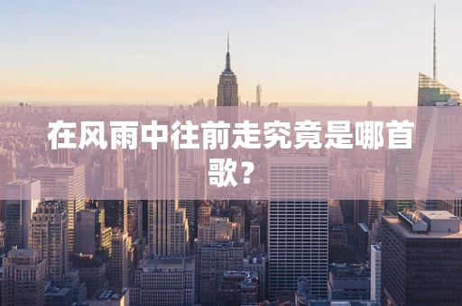 在风雨中往前走究竟是哪首歌？