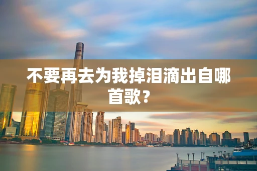 不要再去为我掉泪滴出自哪首歌？