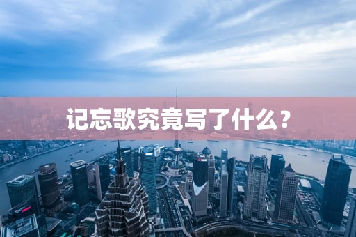 记忘歌究竟写了什么？