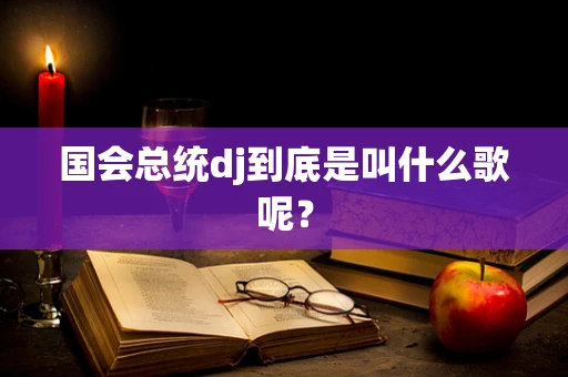 国会总统dj到底是叫什么歌呢？
