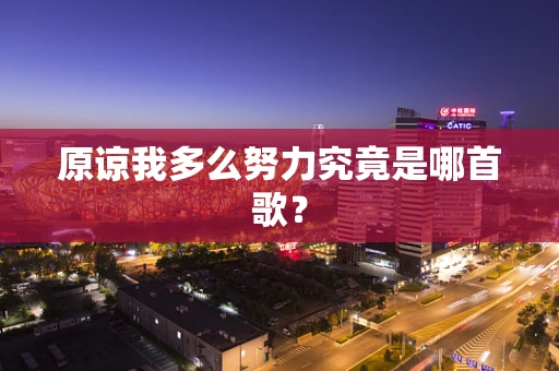 原谅我多么努力究竟是哪首歌？