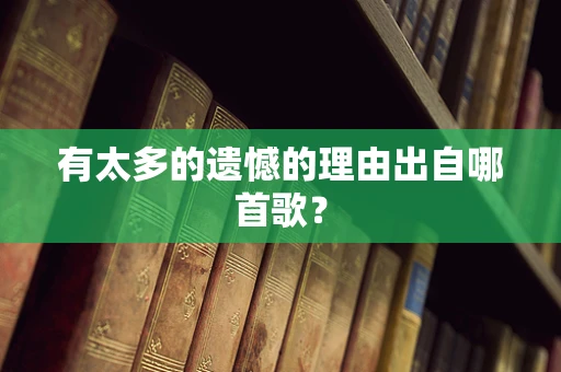 有太多的遗憾的理由出自哪首歌？