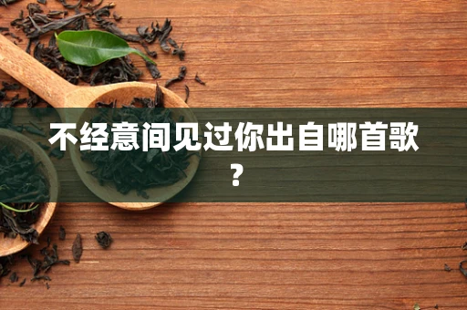 不经意间见过你出自哪首歌？