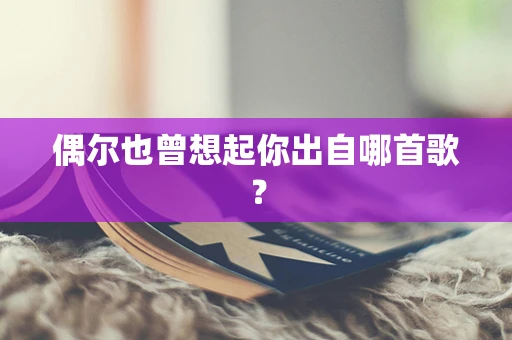 偶尔也曾想起你出自哪首歌？