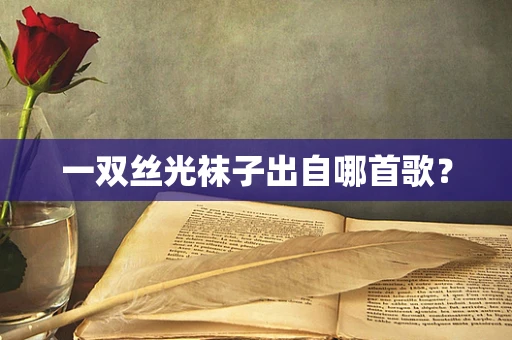 一双丝光袜子出自哪首歌？